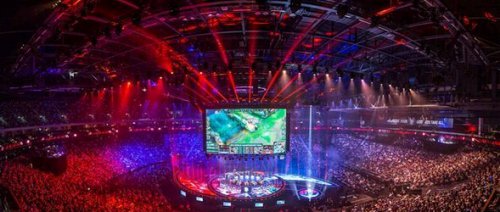 的观赏价值 的观赏价值